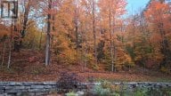 866 GODOLPHIN ROAD, Trent Hills (Warkworth), Ontario