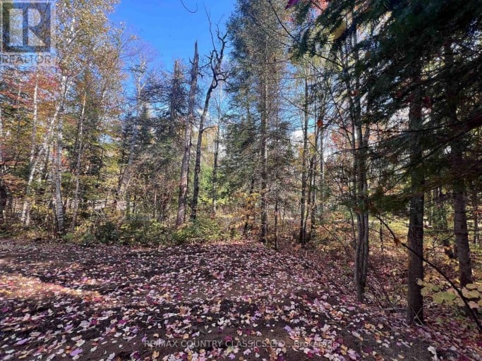 0 HIGH BUSH ROAD, Hastings Highlands (McClure Ward), Ontario, K0L2W0