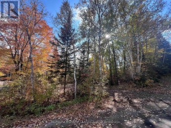0 HIGH BUSH ROAD Hastings Highlands (McClure Ward) Ontario photo 2