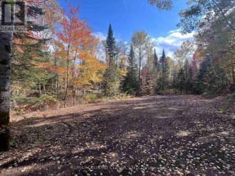 0 HIGH BUSH ROAD Hastings Highlands (McClure Ward) Ontario photo 3