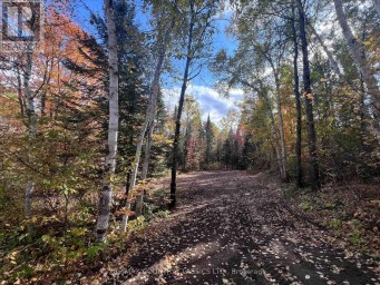 0 HIGH BUSH ROAD Hastings Highlands (McClure Ward) Ontario photo 4