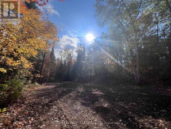 0 HIGH BUSH ROAD Hastings Highlands (McClure Ward) Ontario photo 5