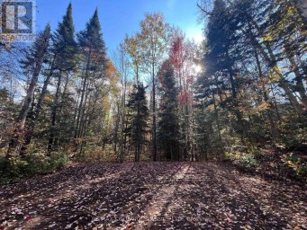 0 HIGH BUSH ROAD Hastings Highlands (McClure Ward) Ontario photo 6