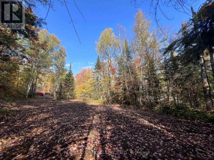 0 HIGH BUSH ROAD, Hastings Highlands (McClure Ward), Ontario, K0L2W0