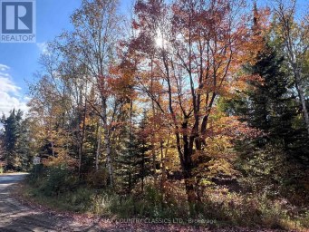 0 HIGH BUSH ROAD Hastings Highlands (McClure Ward) Ontario photo 8