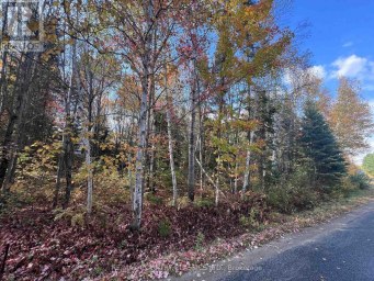 0 HIGH BUSH ROAD Hastings Highlands (McClure Ward) Ontario photo 9