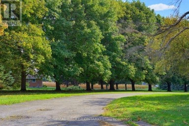 595386 HIGHWAY 59 HIGHWAY Woodstock (Woodstock - North) Ontario photo 16