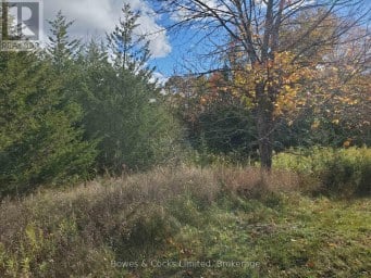 LOT 12 LAKEVIEW DRIVE Trent Hills Ontario photo 11