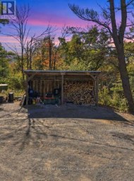 202 EDWINA DRIVE Trent Lakes Ontario photo 37