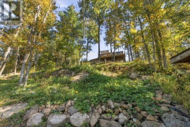 202 EDWINA DRIVE Trent Lakes Ontario photo 39