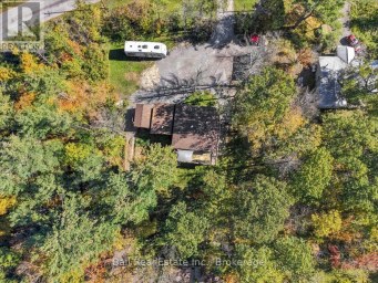 202 EDWINA DRIVE Trent Lakes Ontario photo 40