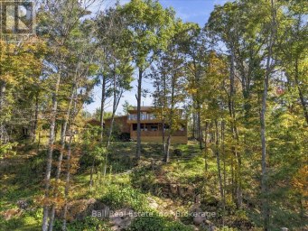 202 EDWINA DRIVE Trent Lakes Ontario photo 41