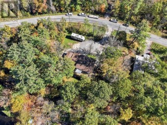 202 EDWINA DRIVE Trent Lakes Ontario photo 43