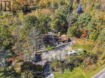 202 EDWINA DRIVE Trent Lakes Ontario photo 44