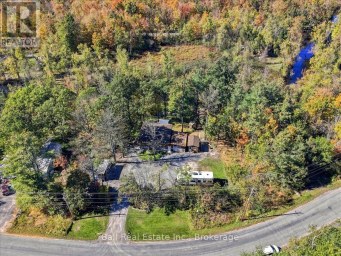 202 EDWINA DRIVE Trent Lakes Ontario photo 45