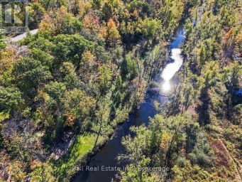 202 EDWINA DRIVE Trent Lakes Ontario photo 46