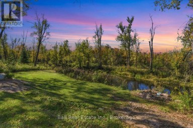 202 EDWINA DRIVE Trent Lakes Ontario photo 48