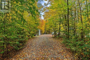 595 OLD DIAMOND LAKE ROAD Hastings Highlands (Herschel Ward) Ontario photo 26