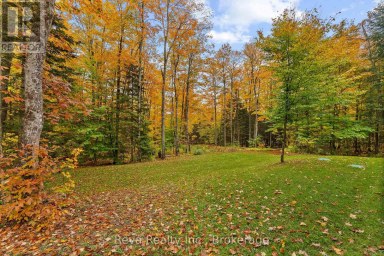 595 OLD DIAMOND LAKE ROAD Hastings Highlands (Herschel Ward) Ontario photo 31