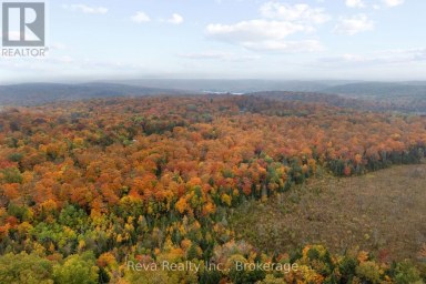 595 OLD DIAMOND LAKE ROAD Hastings Highlands (Herschel Ward) Ontario photo 37
