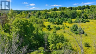 0 CAMPBELL ROAD Trent Hills (Warkworth) Ontario photo 10
