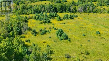 0 CAMPBELL ROAD Trent Hills (Warkworth) Ontario photo 14