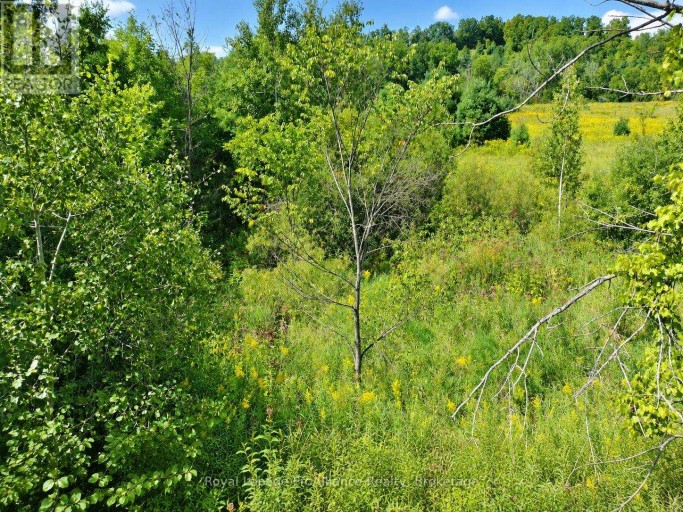 0 CAMPBELL ROAD, Trent Hills (Warkworth), Ontario, K0K3K0
