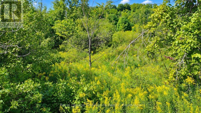 0 CAMPBELL ROAD, Trent Hills (Warkworth), Ontario, K0K3K0