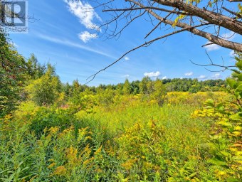 0 CAMPBELL ROAD Trent Hills (Warkworth) Ontario photo 21