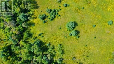 0 CAMPBELL ROAD Trent Hills (Warkworth) Ontario photo 22