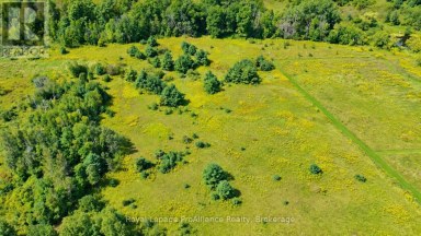 0 CAMPBELL ROAD Trent Hills (Warkworth) Ontario photo 24