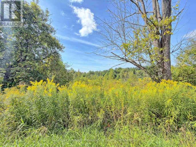 0 CAMPBELL ROAD, Trent Hills (Warkworth), Ontario, K0K3K0