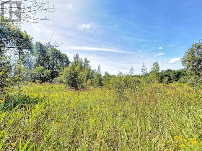 0 CAMPBELL ROAD, Trent Hills (Warkworth), Ontario, K0K3K0