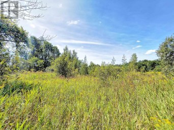 0 CAMPBELL ROAD Trent Hills (Warkworth) Ontario photo 6