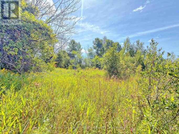 0 CAMPBELL ROAD, Trent Hills (Warkworth), Ontario, K0K3K0