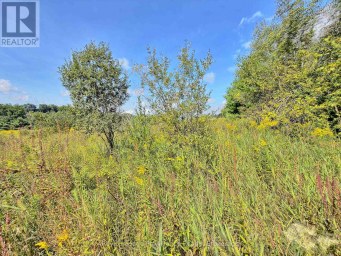 0 CAMPBELL ROAD Trent Hills (Warkworth) Ontario photo 8