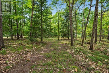 4 BINNIE DRIVE Springwater (Minesing) Ontario photo 23