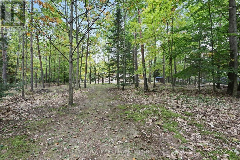 4 BINNIE DRIVE, Springwater (Minesing), Ontario, L9X0C4