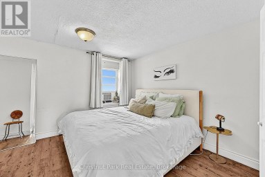 202-204-206 HURONTARIO STREET Collingwood Ontario photo 38