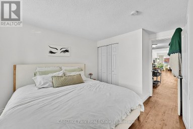 202-204-206 HURONTARIO STREET Collingwood Ontario photo 39