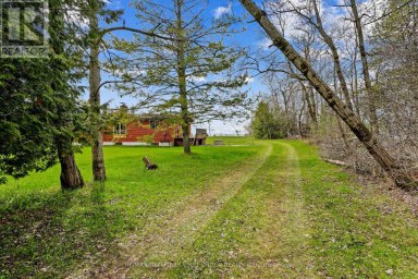 605B ORCHARD GROVE ROAD Alnwick/Haldimand Ontario photo 33
