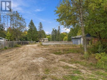 8240 MAIN STREET Adjala-Tosorontio (Lisle) Ontario photo 12