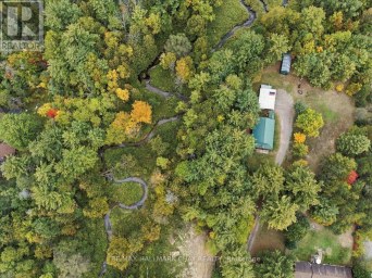 8240 MAIN STREET Adjala-Tosorontio (Lisle) Ontario photo 15