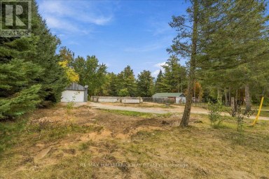 8240 MAIN STREET Adjala-Tosorontio (Lisle) Ontario photo 21