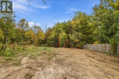 8240 MAIN STREET Adjala-Tosorontio (Lisle) Ontario photo 23