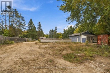 8240 MAIN STREET Adjala-Tosorontio (Lisle) Ontario photo 24