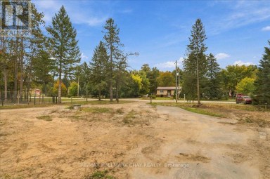 8240 MAIN STREET Adjala-Tosorontio (Lisle) Ontario photo 28