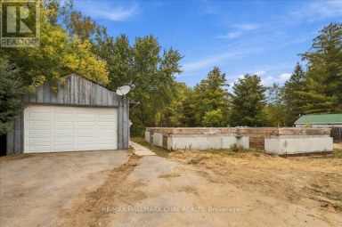 8240 MAIN STREET Adjala-Tosorontio (Lisle) Ontario photo 29