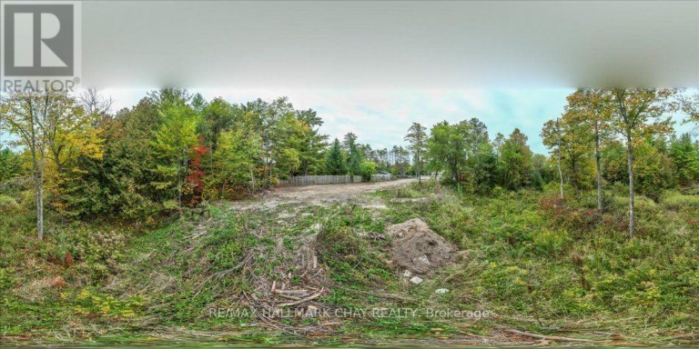 8240 MAIN STREET, Adjala-Tosorontio (Lisle), Ontario, L0M1M0