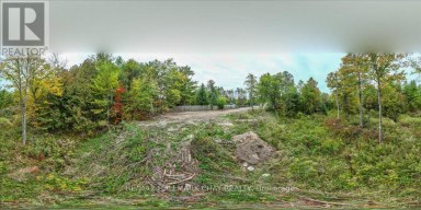 8240 MAIN STREET Adjala-Tosorontio (Lisle) Ontario photo 30